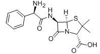 Ampicillin Trihydrate Compacted