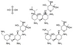 Gentamicin Sulphate