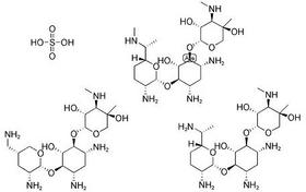 Gentamicin Sulphate