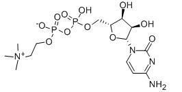 Citicoline