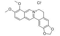 Berberin Clorid