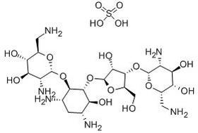 Neomycin Sulphate