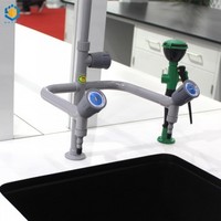 Laboratory faucet