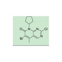 Palbociclib ITS-1