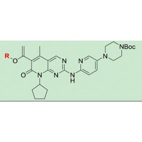 Palbociclib ITS-3