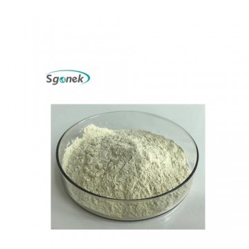 Wholesale Product High Quality Bromelain Enzyme