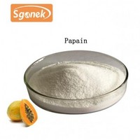 Manufacture Top Standard CAS NO.9001-73-4 price papain enzyme powder Papain