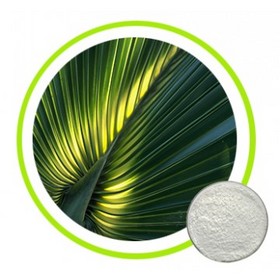 100% Natural Saw Palmetto Extract Fatty Acid 25%~45%