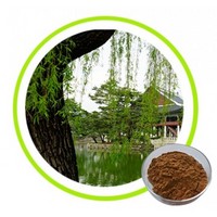 White Willow Bark extract 15% - 98% Sallcin