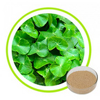 Centella Asiatica Extract Powder 10% 40%