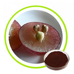 Natural Grape Seed Extract