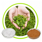 EGCG 90%,95%,98%,green tea extract