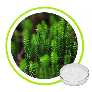 100% Natural Huperzine Extract Huperzine A 98%