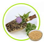 Milk Thistle Extract Powder 80% Silymarin