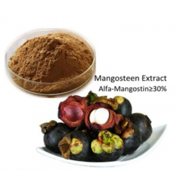 Mangosteen Rind Extract 30% Alpha Mangostin, Polyphenol