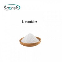 Factory Supply Slimming Product CAS No. 541-15-1 L-carnitine 