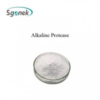 Manufacturers supply CAS No. 9014-01-1 high quality alkaline protease enzyme powder in bulk with bes
