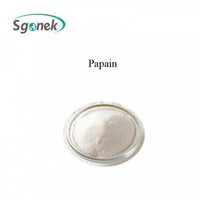 Raw material wholesale papain CAS 9001-73-4 papaya extract powder / Enzyme Papain