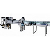 GPF-20D Automatic case packer