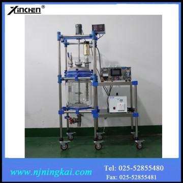 Customized ultrasonic glass reactor