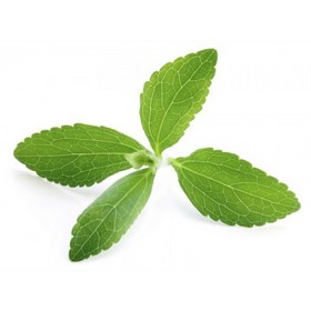 Stevia Extract