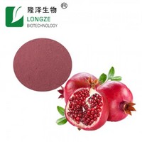 Pomegranate fruit powder