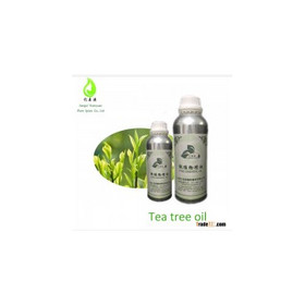 Pure Healthy Aromatherapy Tea Tree Essential Oil In China Wholesale Bulk Oil 