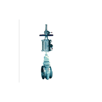 Pneumatic slab gate valve