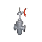 Slab gate valve