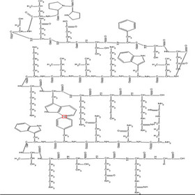 PNC27 peptide