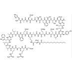 Liraglutide