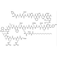 Liraglutide