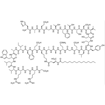 Liraglutide