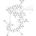 Ziconotide Acetate