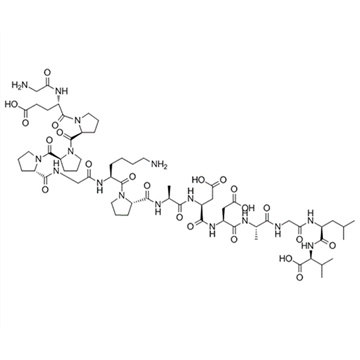 pentadecapeptide BPC 157