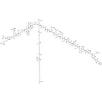 Semaglutide