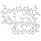 Salmon Calcitonin