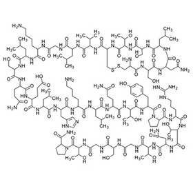 Salmon Calcitonin