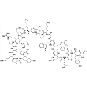 Tetracosactide Acetate