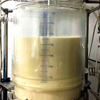 custom peptide synthesis