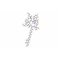 Caspofungin acetate