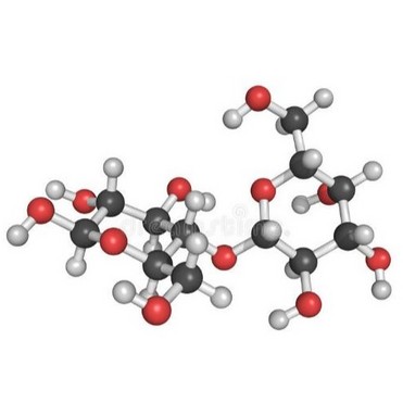 Endo-3-amine-9-methyl-9-azabicyclo[3,3,1]nonane