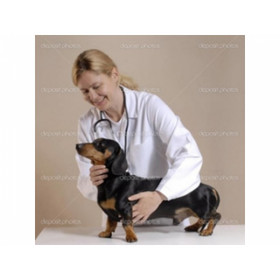 Veterinary