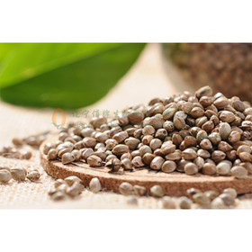 Hemp Seed