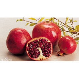 Pomegranate Extract