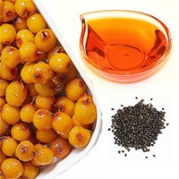 Sea Buckthorn Seed Oil Supercritical CO2 Extract