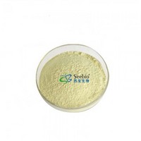 High Sweeteness Low Calorie Monk Fruit Extract Powder /Luo Han Guo extract Mogrosides V 40%