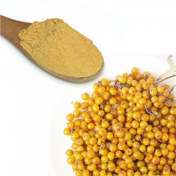 Sea Buckthorn Berry Powder