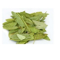 Senna Leaf Extract 6.5% 8.0% Sennosides by HPLC/UV