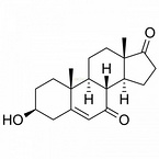 7-KETO-DHEA